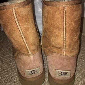 chestnut uggs